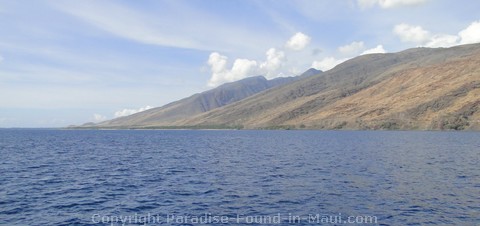 Picture of the Maui coast and an ocean view.