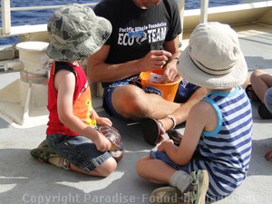 Picture of kids on a whale watch with the Pacific Whale Foundation.