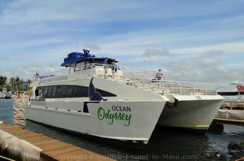 Picture of the Ocean Odyssey in Maalaea Harbor.