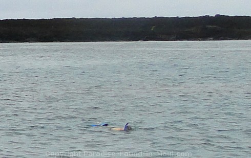 The best snorkeling in Maui at The Dumps, Ahihi Kinau.