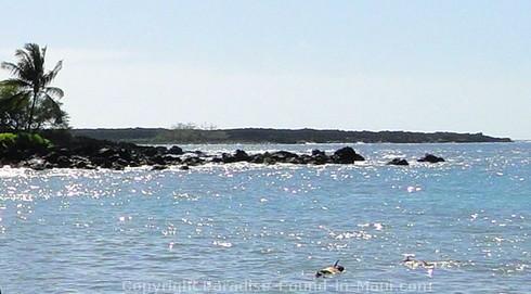 Snorkeling at Ahihi Kinau on Maui