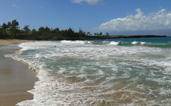 Great Waves for Boogie Boarding at DT Fleming Beach