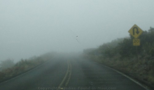 Fog on Crater Road