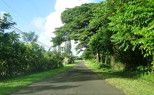 Piccture of Hana Airport Road on Maui, Hawaii.