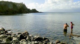 Picture of snorkelers at Honolua Bay, Maui.