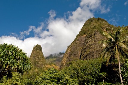 Picture of jungle treetops and Iao Needle in Iao Valley State Park.