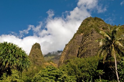 Picture of jungle treetops and Iao Needle in Iao Valley State Park. Picture of jungle treetops and Iao Needle in Iao Valley State Park.