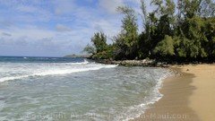 Picture of D. T. Fleming Beach in Kapalua, Maui, Hawaii