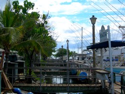 Picture of docks at the Lahaina Harbour on the island of Maui, Hawaii.