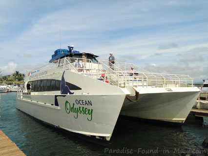 Maalaea Harbor Ocean Odyssey