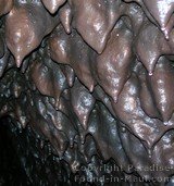 Picture of lava inside the Hana Lava Tube (Kaeleku Caverns) on the island of Maui, Hawaii.