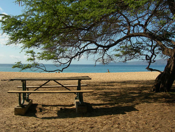 Picnic at the Beach in Maui Hawaii