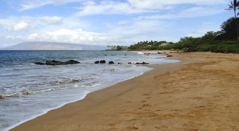 Picture of Poolenalena Beach in Maui