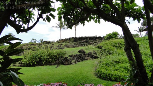 Picture of a sacred Hawaiian fishing heieu on Maui.