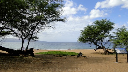 Picture of kiawe trees at Poolenalena Beach in Wailea-Makena, Maui.
