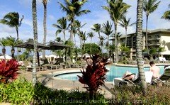 Picture of the pool area at Kapalua's Ritz Carlton, Maui.