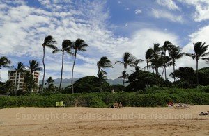 Picture of landscaping and backdrop at Wailea Beach on the island of Maui, Hawaii.