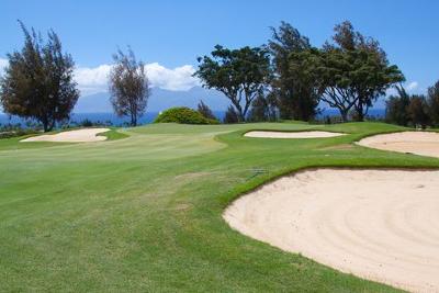 Maui Golf Hole Along the Ocean