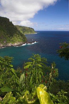 Maui, Hawaii coastline near Hana.