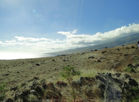 Picture of the scenery on the road past Hana, the forbidden southern route.