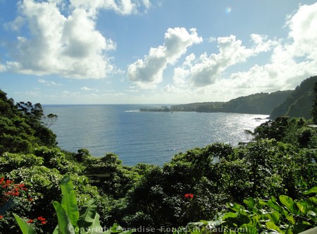 Picture of east Maui coastline along the Road to Hana.