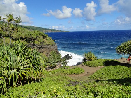 Picture of the coastline at Oheo Gulch (Seven Sacred Pools)