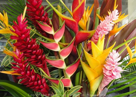 Picture of a tropical flower boquet.