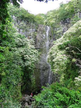 Picture of Wailua Falls.