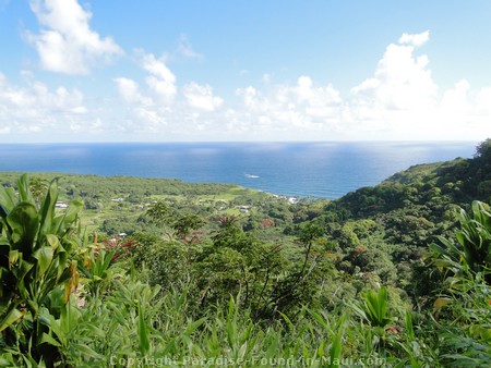 Picture of Wailua Valley.