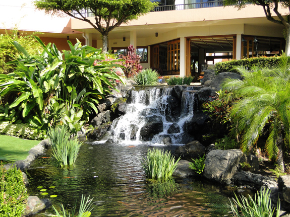 Tropical Landscaping at the Marriott Ocean Club