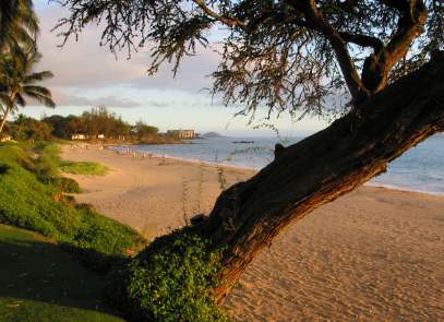 Kama'ole Beach is one of the best beaches in Maui!