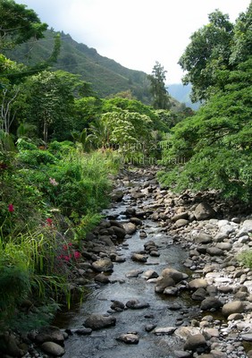 picture of Iao Stream in the Maui Iao Valley State Park