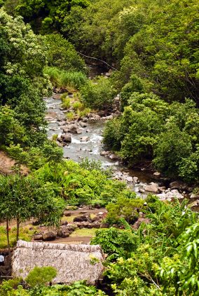 Picture of paved walkways in Iao Valley State Park, Maui, botanical gardens.  Also can see Iao Stream in front of pathways.