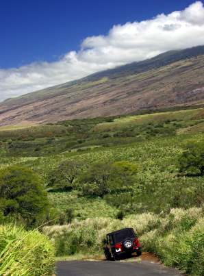 Maui rental car pulled over at side of road.