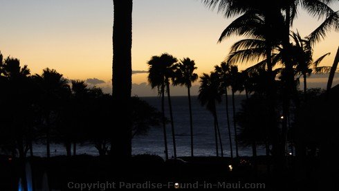 Picture of a Maui, Hawaii sunset through the palm trees.