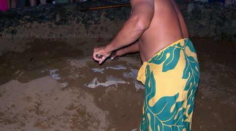 Picture of islander unearthing Kalua Pig at the Old Lahaina Luau, Maui.