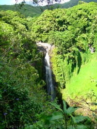 Picture of Waimoku Falls along the Pipiwai Trail, Maui, Hawaii.