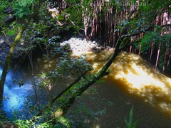 Picture of pool along the Pipiwai Trail, Maui, Hawaii