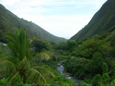 Picture of Iao Valley State Park.