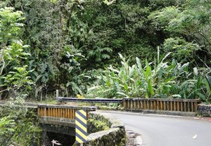 cool bridge on the Hana Highway