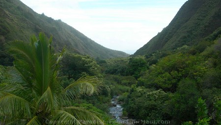 things to do in maui hiking iao valley