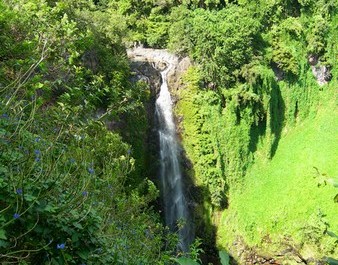 Picture of Waimoku Falls from our hike in the Maui jungle on the Pipiwai Trail.