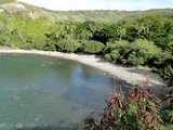 Snorkel at Honolua Bay