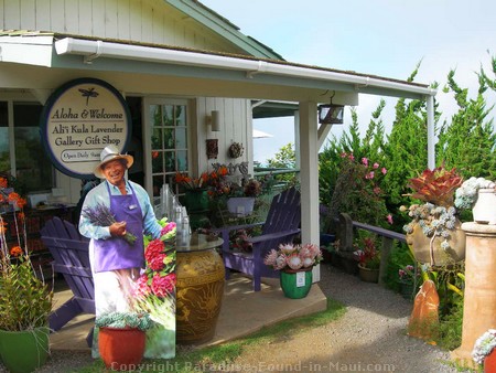 Picture of Upcountry's Alii Kula Lavender Farm giftshop.