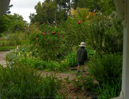 Picture of Kula Botanical Gardens.