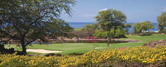 maui golf courses Wailea colourful flowers